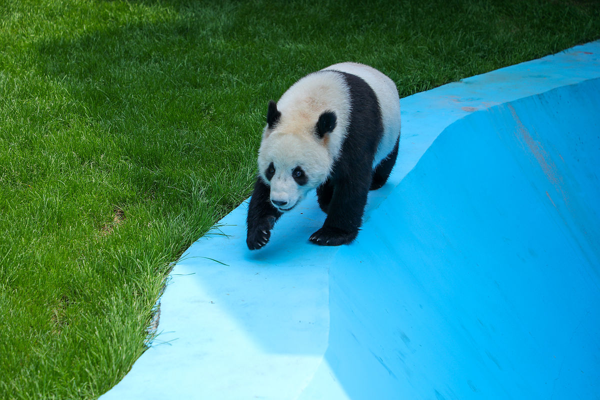 电源行业公司起名：源泰 - 简单大气好记