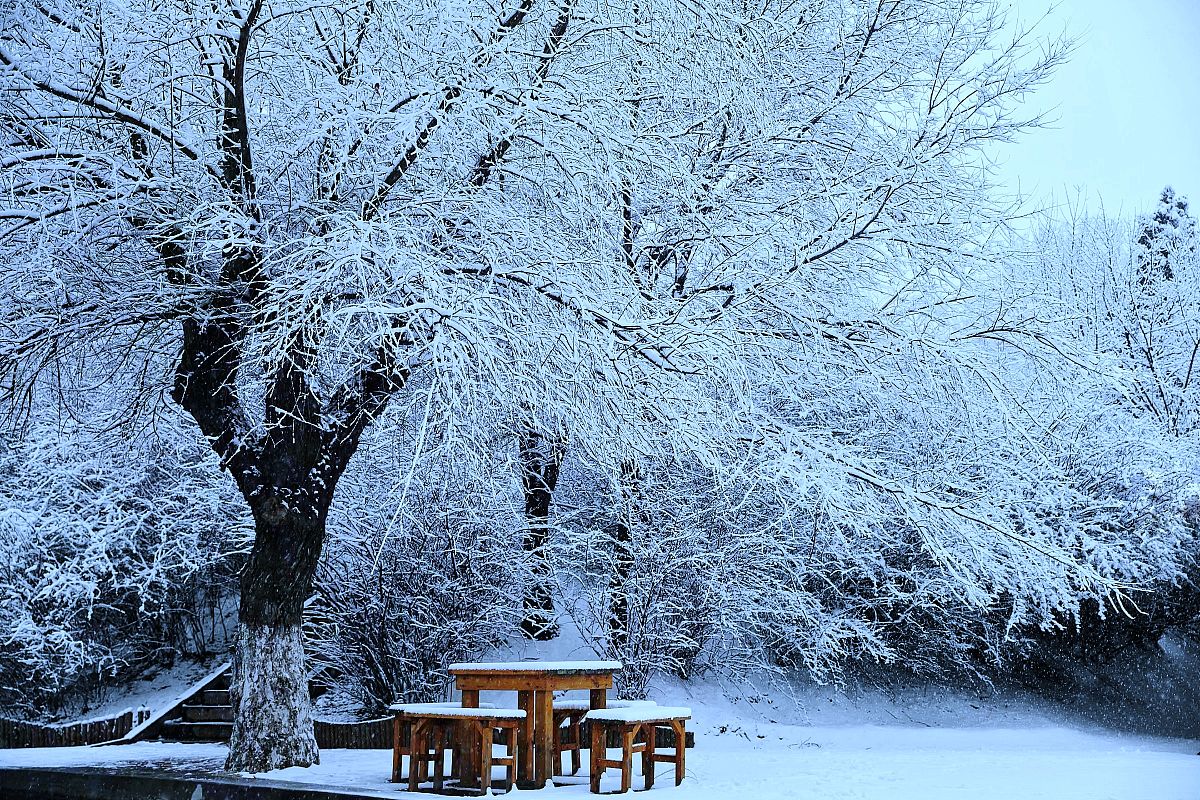 2022年3月14日早,辽宁省阜新市迎来了一场大雪,雪花给大地披上一层银
