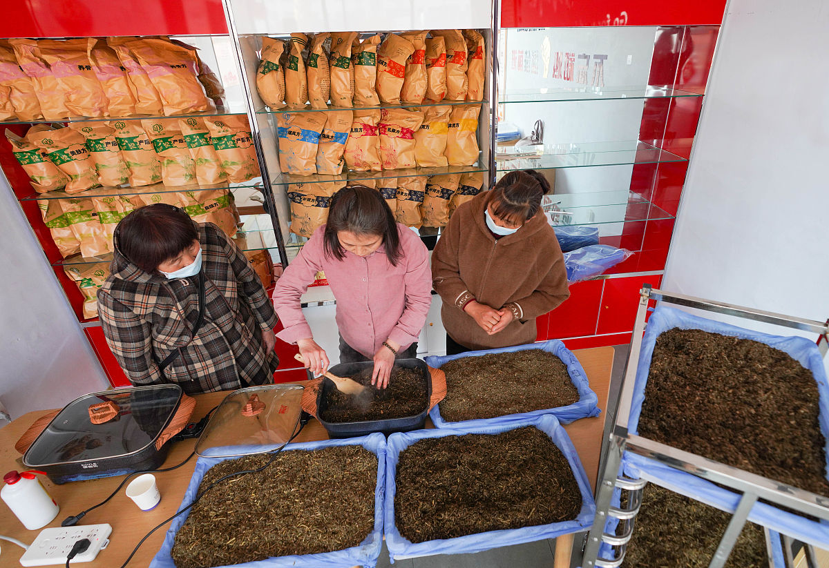 广东新兴中药学校2022年招生简章