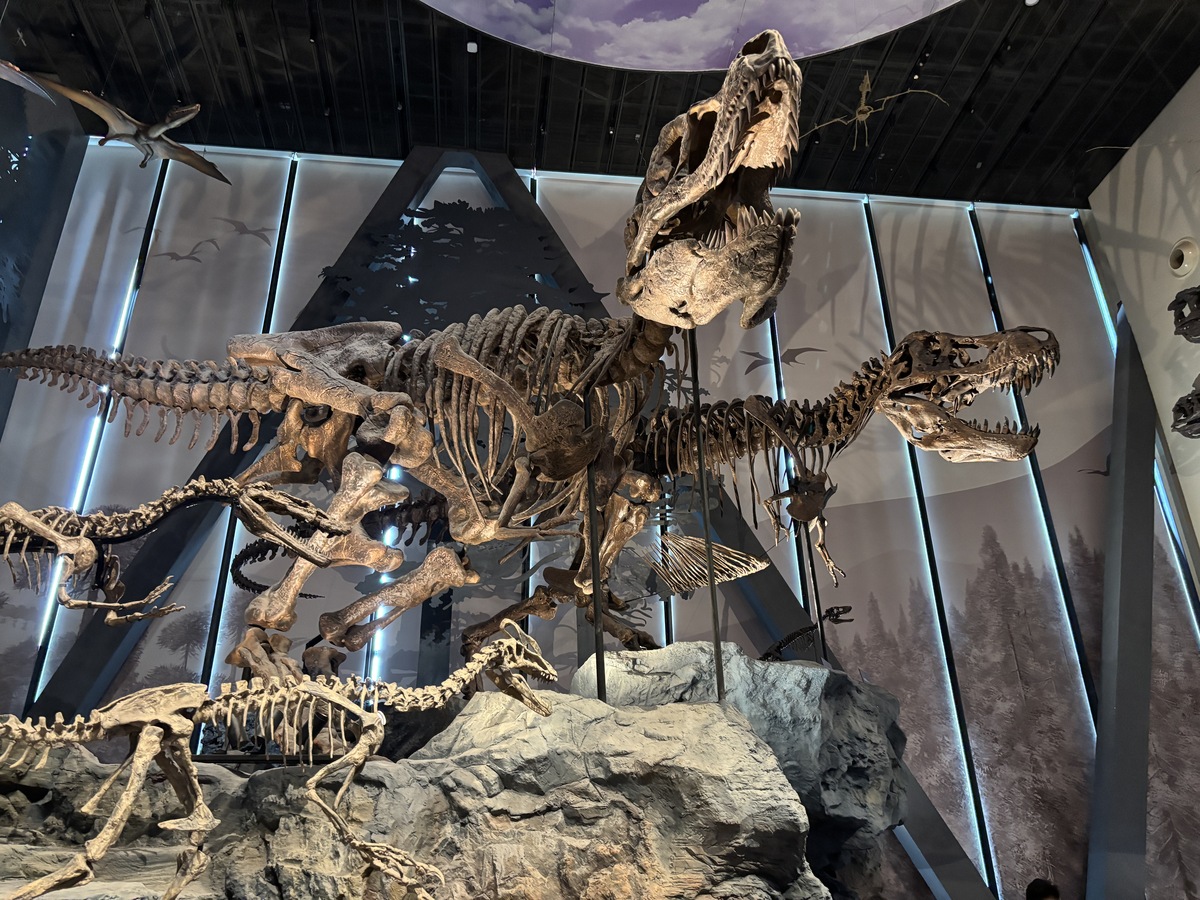 恐龙化石博物馆：科学研究、教育普及、文化保护和经济效益