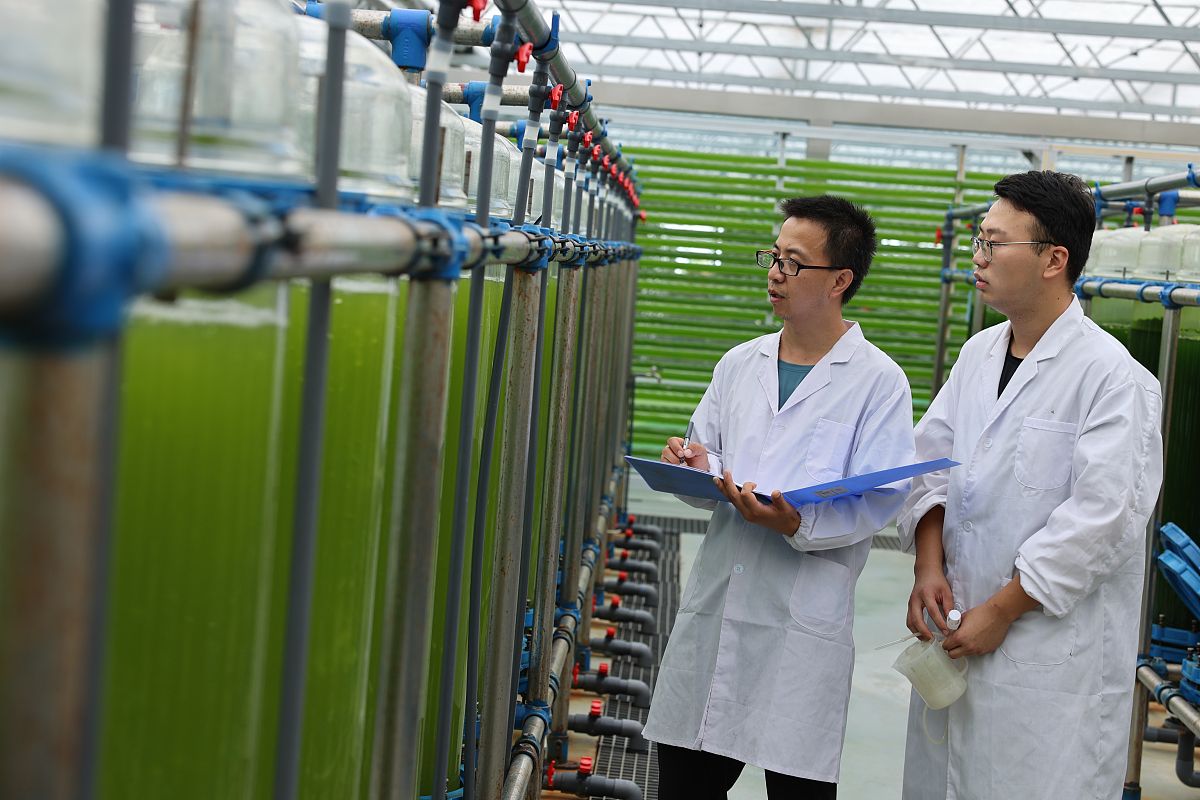 山东畜牧兽医职业学院畜禽智能化养殖专业课程设置有哪些