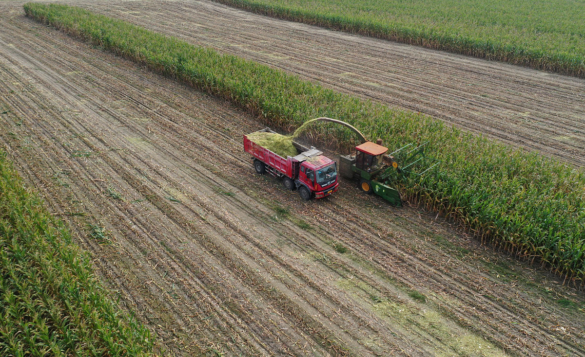 昆明畜牧养殖学校2019年五年制大专招生专业计划