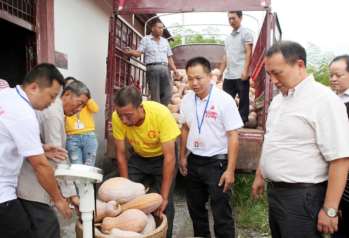 重庆电子工程职业学院影视动画专业课程设置及实践活动