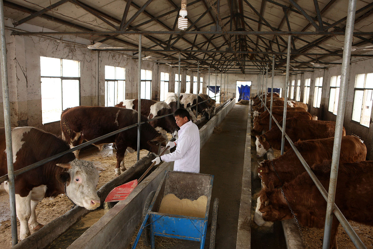 贞丰县职业技术学校特种动物养殖专业就业前景分析