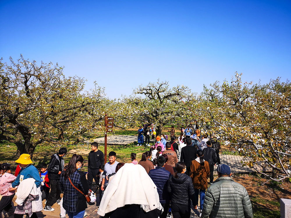安徽省宿州逸夫师范学校2021年招生简章