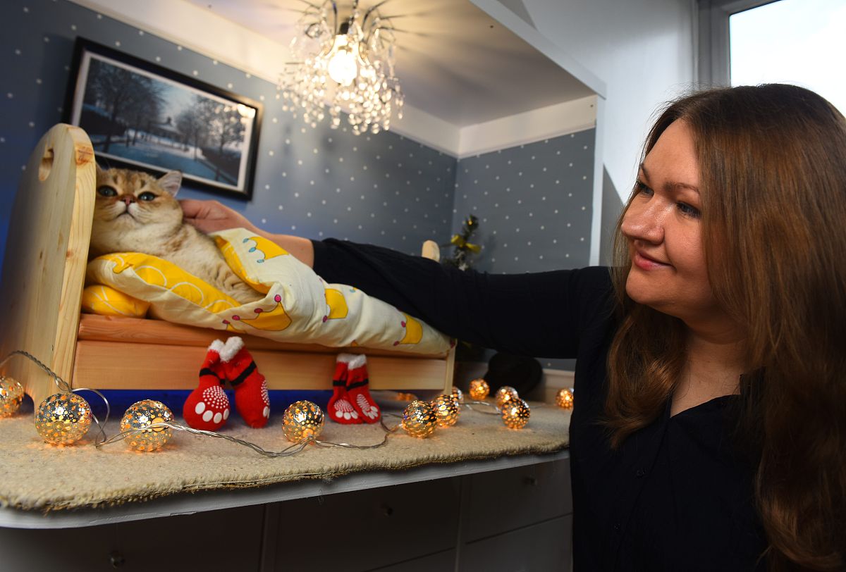 一个人顶一个科室领导不配备科员为什么回答+拓展