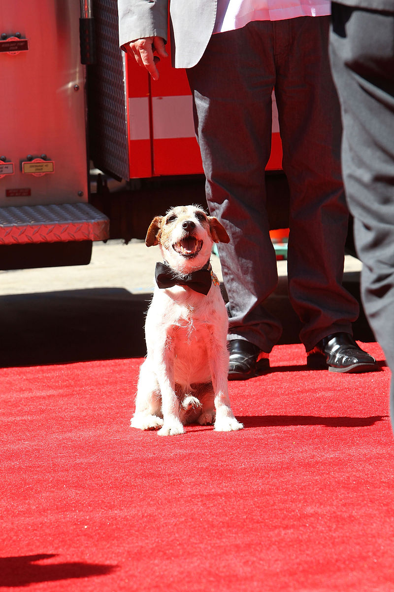 泸溪县第一职业中学办学有哪些荣誉