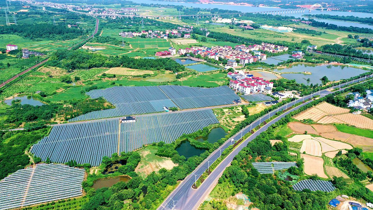 信阳乡村振兴产业发展“四个一批”工作方案