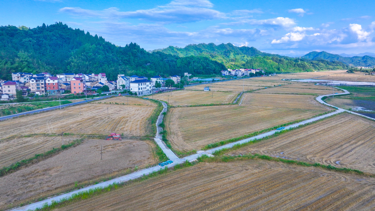 写一篇基层地区的定义。