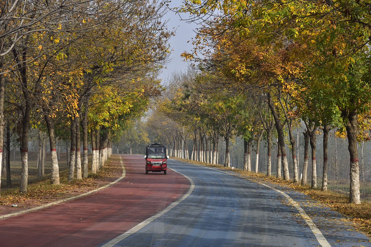 河南水利与环境职业学院建设工程监理市政工程监理有前途吗？需满足哪些招生条件-怎么样