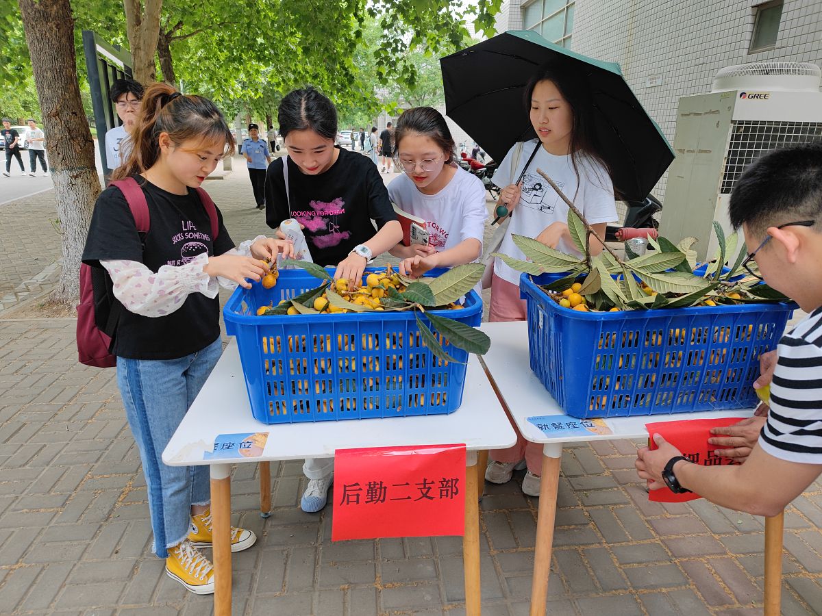 洛阳理工学院是公办还是民办？ - 深度解析其办学性质