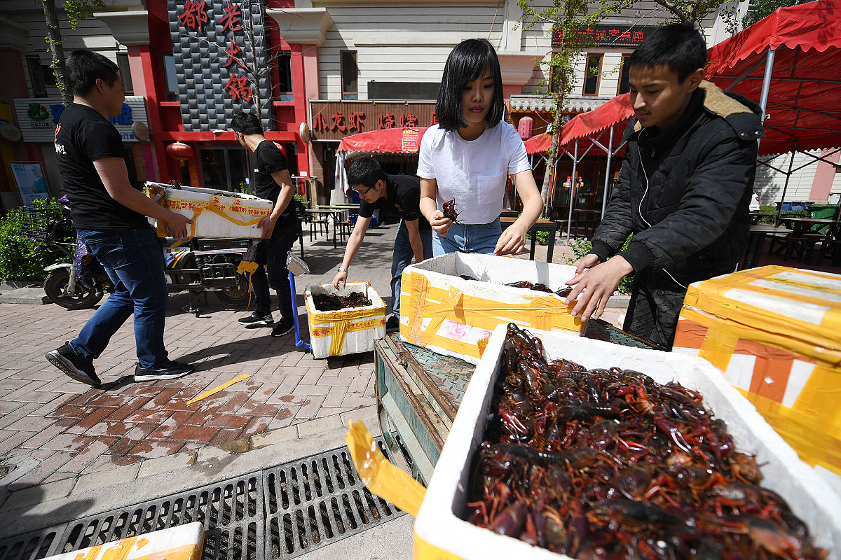 河北旅游职业学院休闲服务与管理专业怎么样都要学些什么