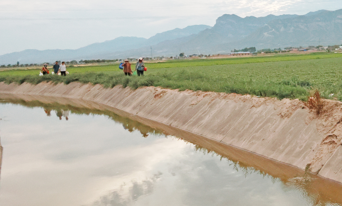 堤防护岸坝式护岸技术应用方法