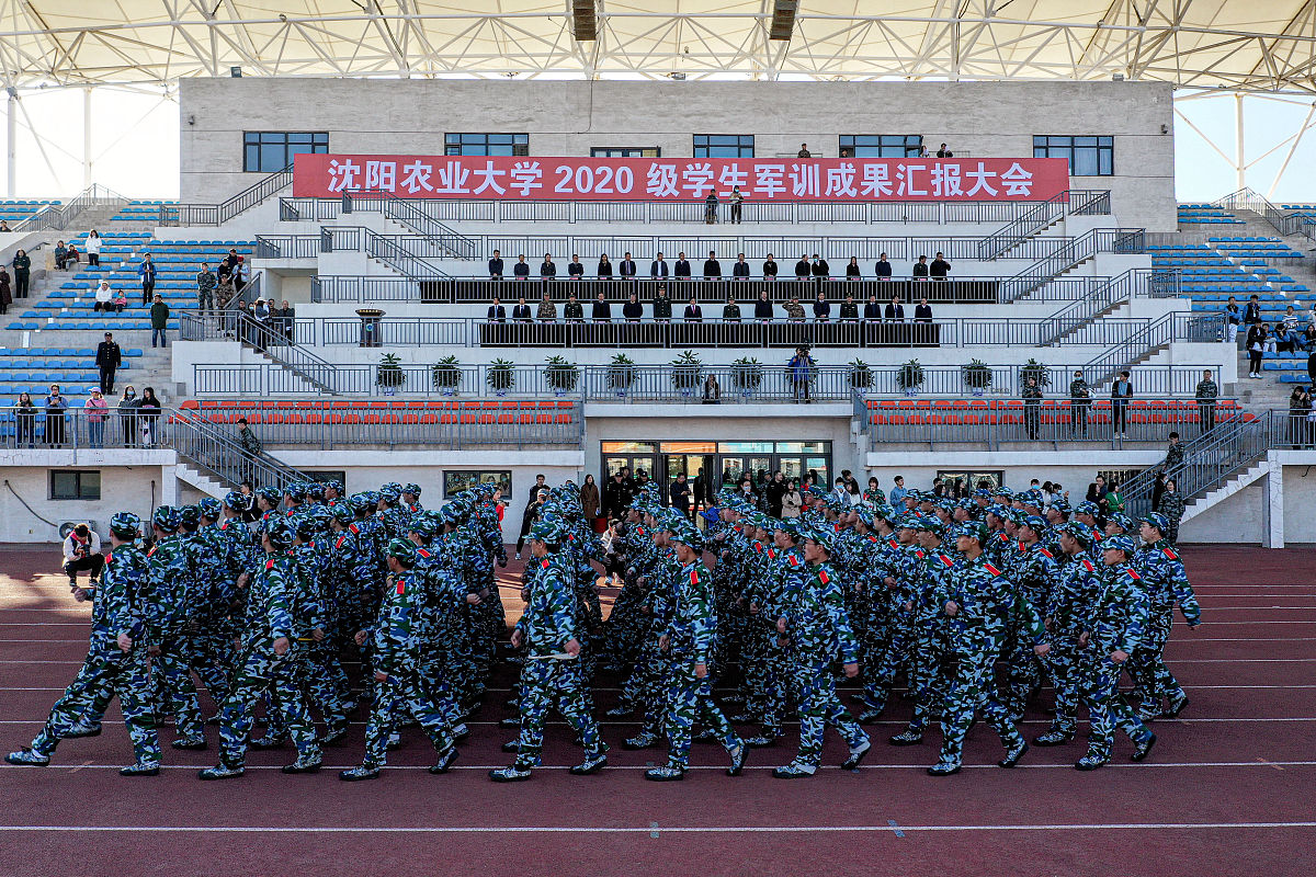 汉中职高VS中专：哪个更适合你？