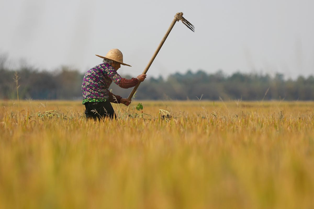 锄禾日当午汗滴禾下土谁知盘中餐粒粒皆辛苦