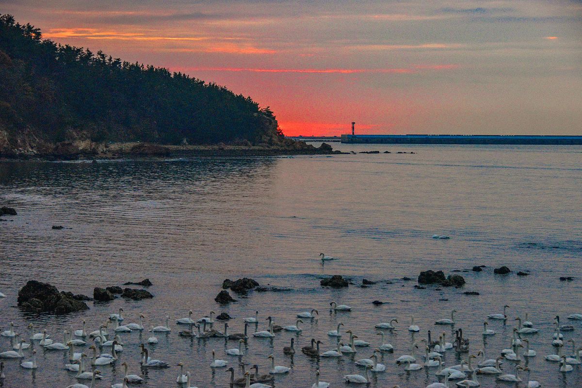 荣成市职工中等专业学校2019年招生专业有哪些？