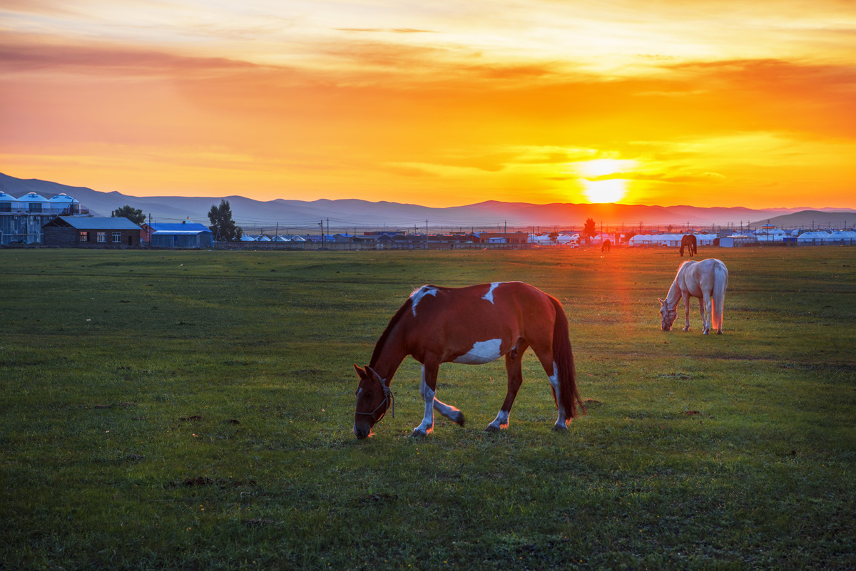 基于以下目的地帮我做一个三天两晚的简单旅游行程3内蒙古-呼伦贝尔大草原;Day 1- 上午：抵达呼伦贝尔前往草原公园欣赏美丽的草原风光可以骑马、拍照等。- 下午：前往牧民家体验草原牧民的生活品尝当地特色美食。- 晚上：在草原上露营享受星空下的美妙夜晚。Day 2- 上午：前往满洲里市游览满洲里市场购买当地特色土特产。- 下午：前往额尔古纳市参观额尔古纳河欣赏美丽的河流风光。- 晚上：在额尔古纳市住