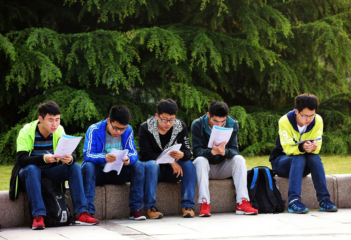 大学生眼中的世界：探索、挑战与成长