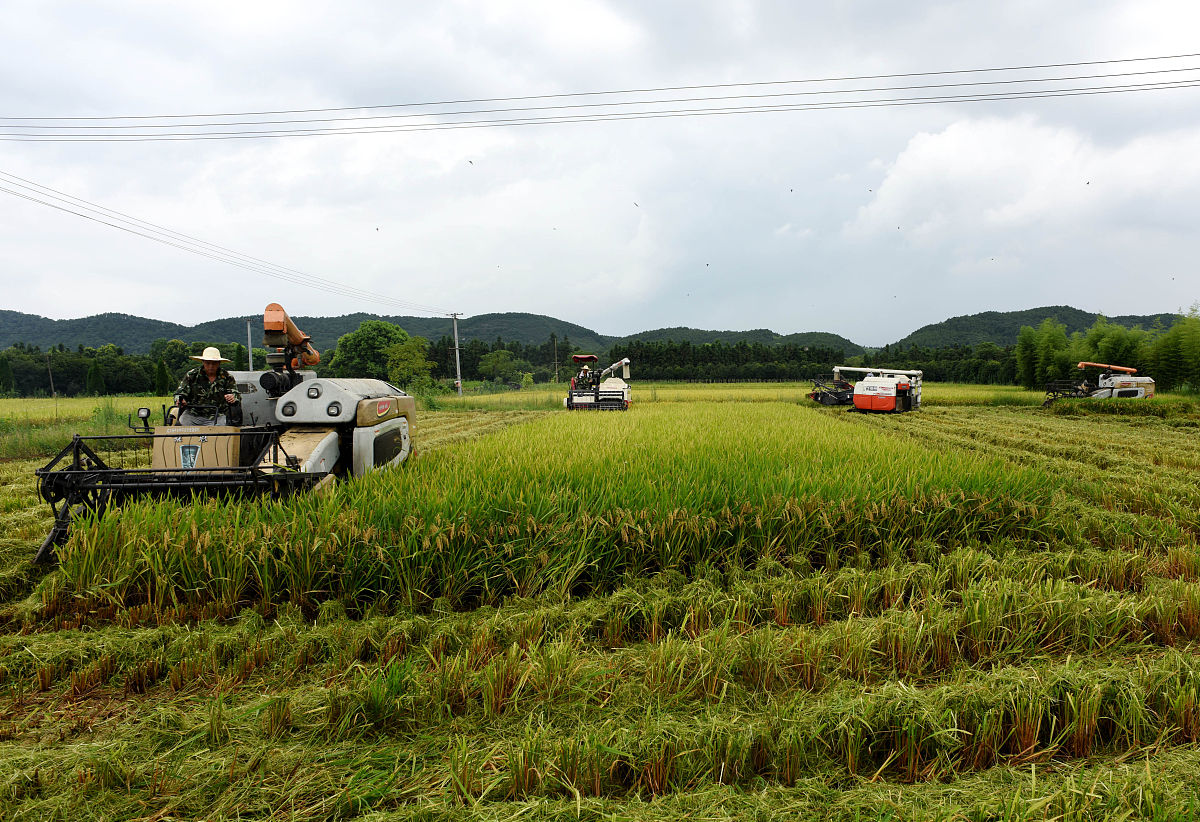 选择泸西县农业机械化技术学校好不好