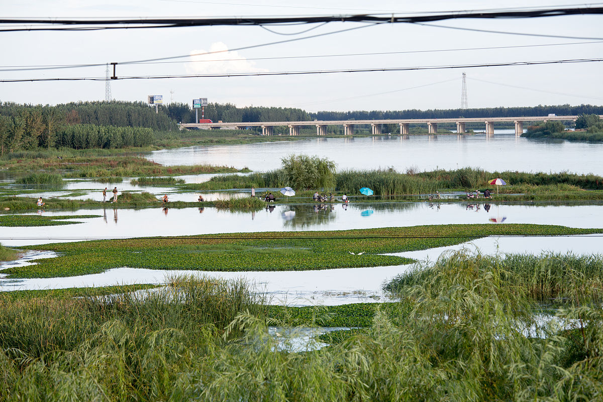 请将制作关于锦水河入黄口湿地方案汇报的ppt写成实践记录报告