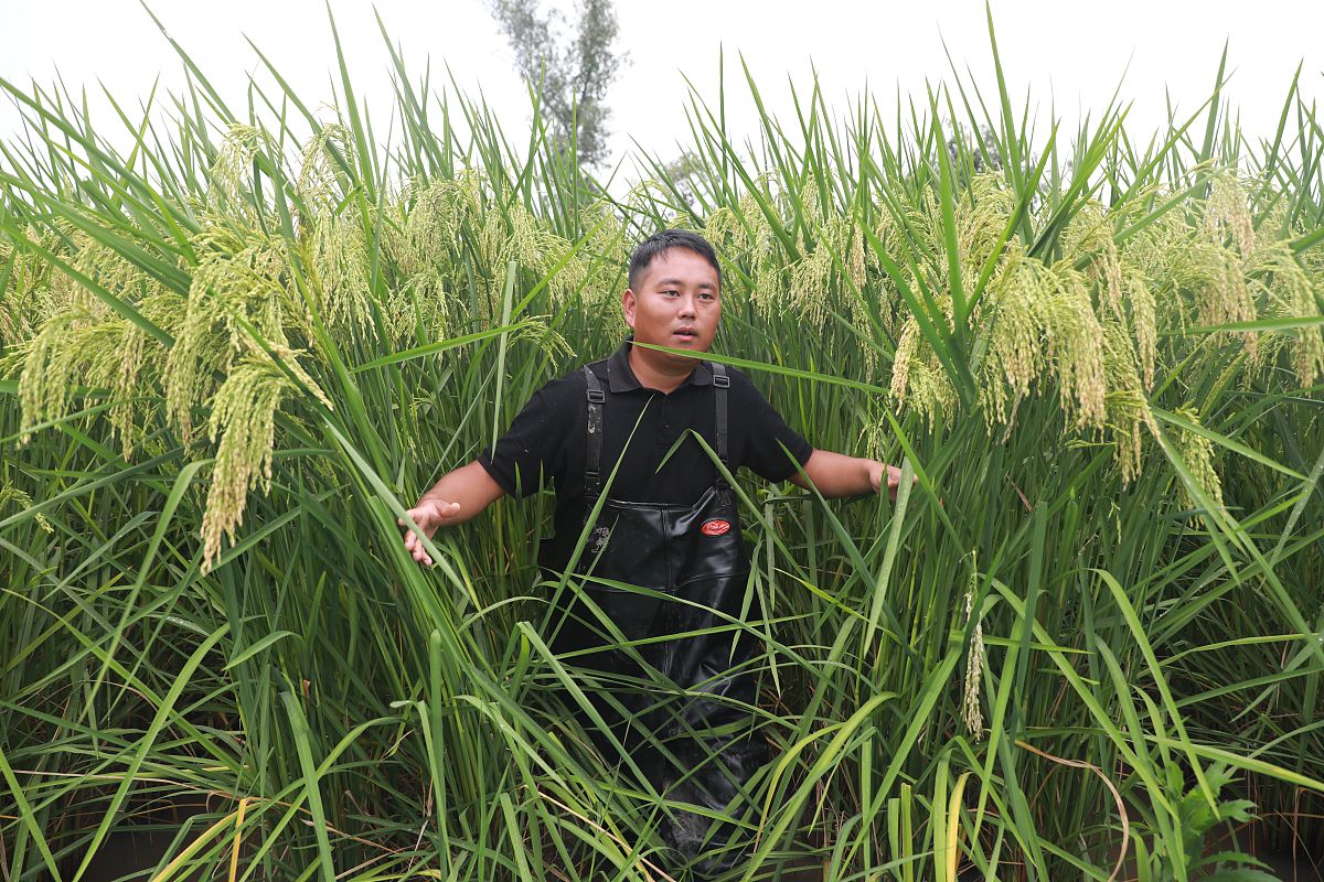 重庆工程职业技术学院视觉传播设计与制作专业好不好发展前景怎样