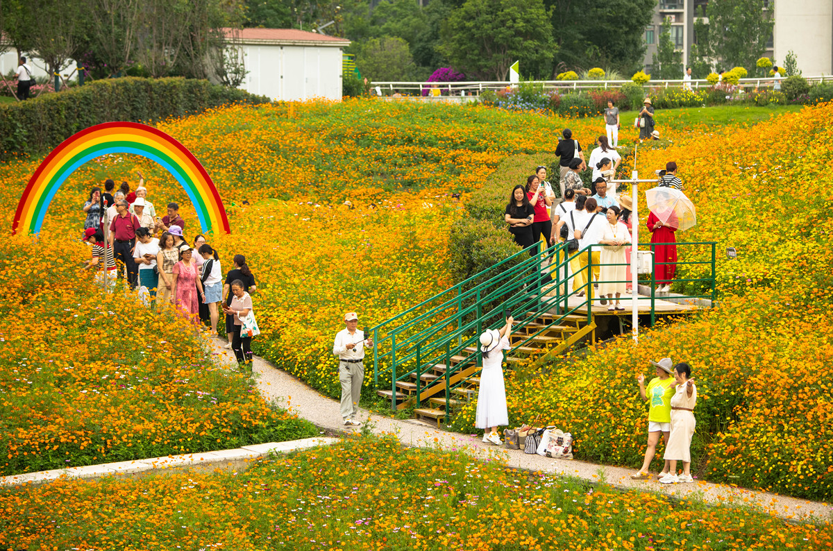 关于花海发展提出建议吧