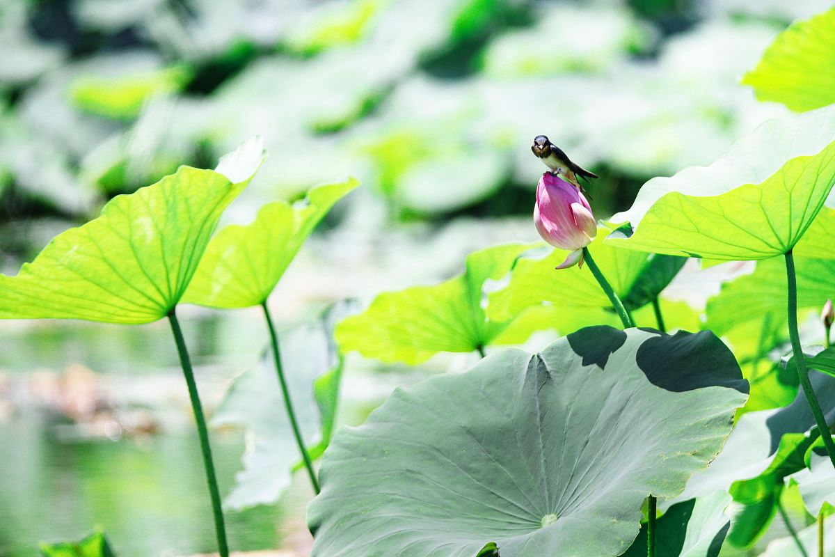 请对论文陕西利沣达建筑科技公司会计标准化建设现状和对策的章节内容 324内部控制情况进行写作可以增加数据或者案例说明并保证其内容合理性不要乱写：