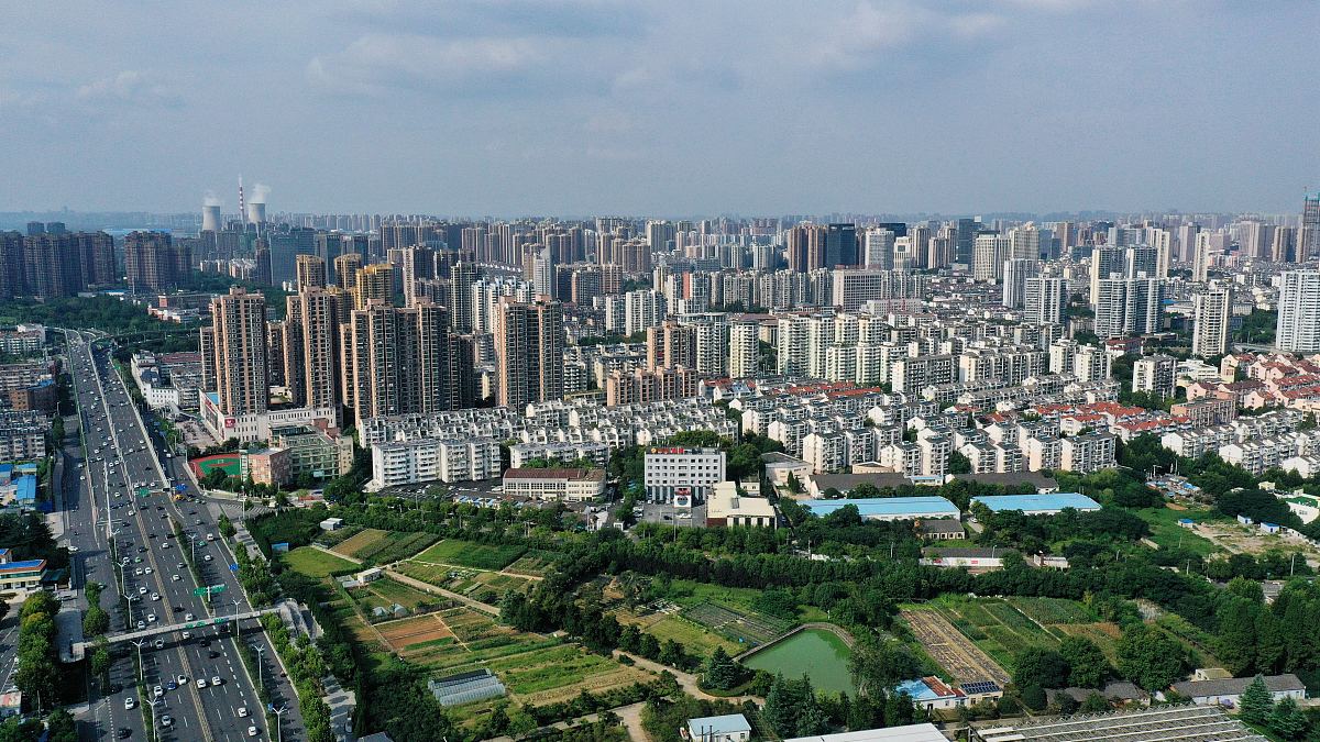 合肥媒体求助热线。要求：写一篇500字左右的文章。