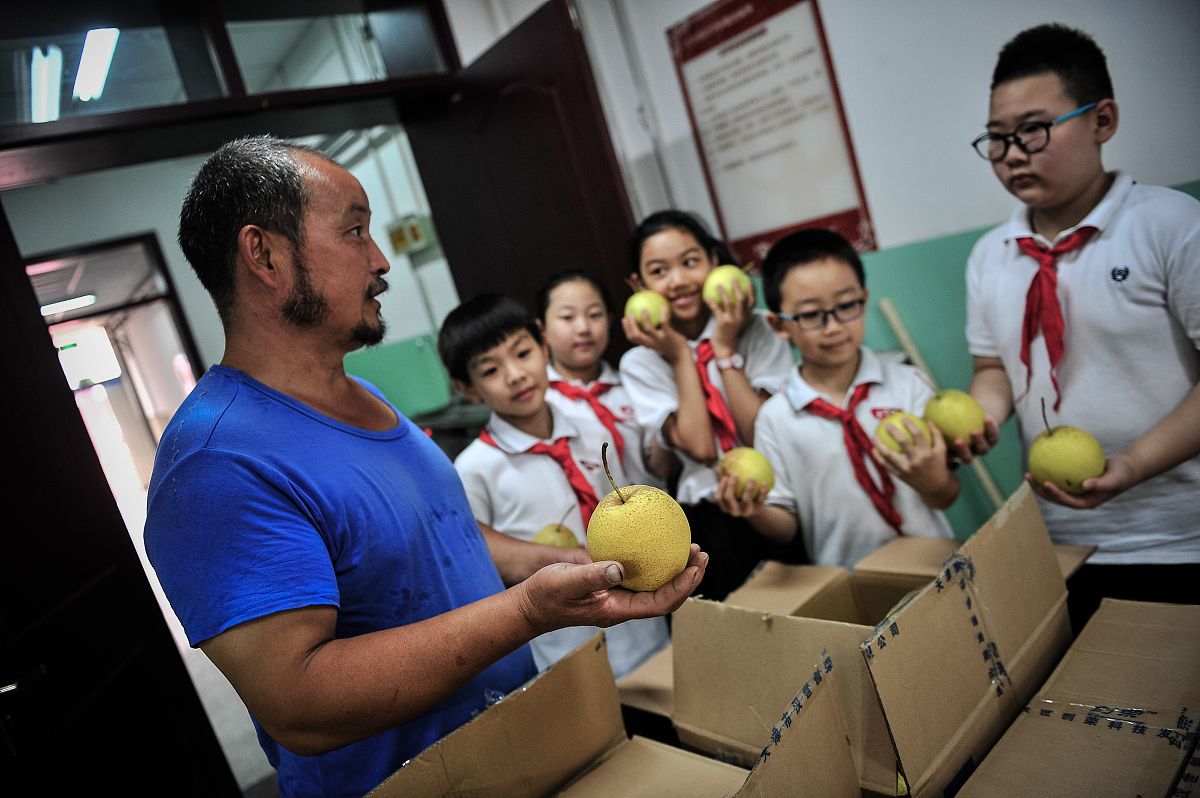 小学生 诚实守信小标兵 主要事迹经历 80字 小学生 诚实守信小标兵 主要事迹经历 80字