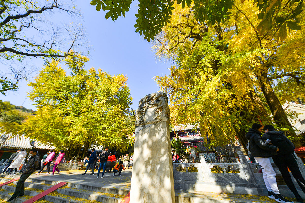 2020年11月4日,北京,位于门头沟区的潭柘寺是京城最古老的寺庙之一,始