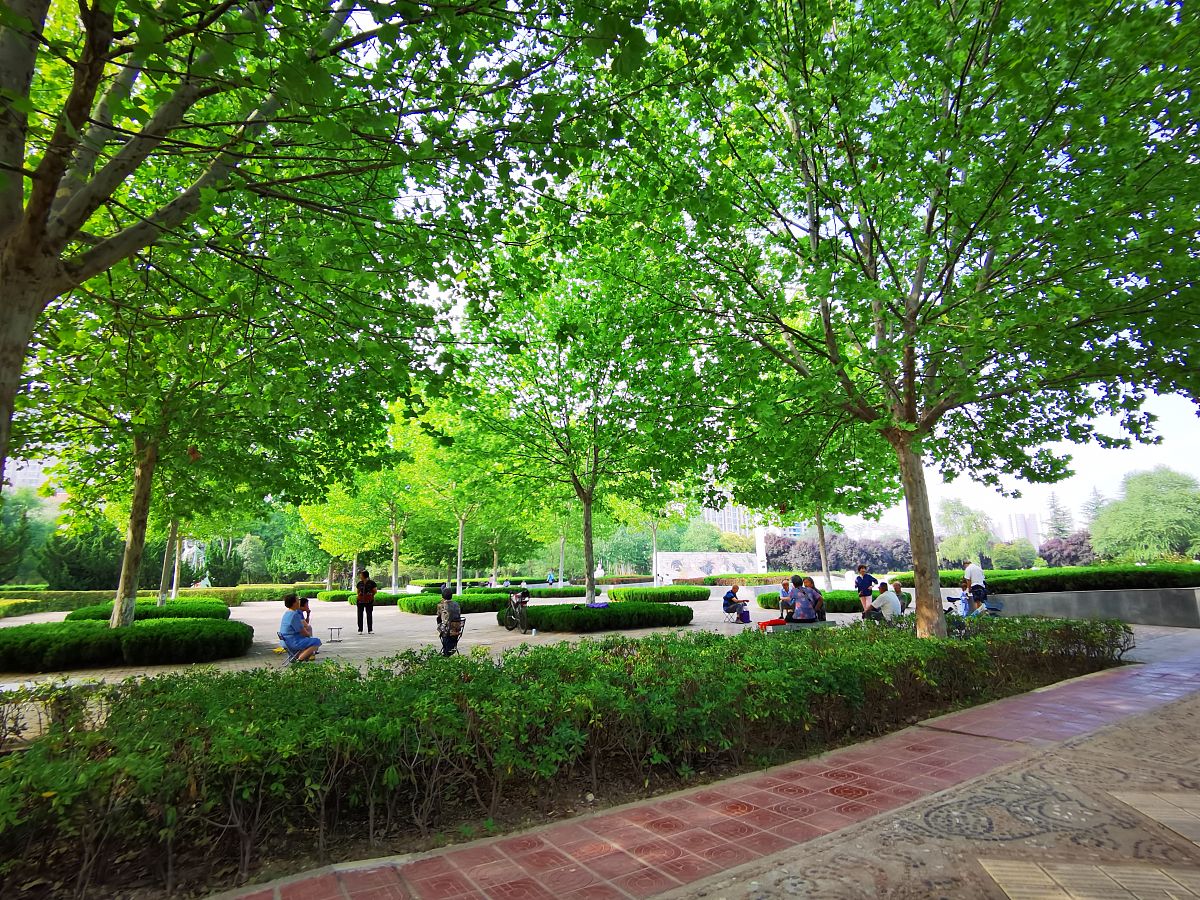 宝鸡初中毕业生中专学校推荐：适合你的选择