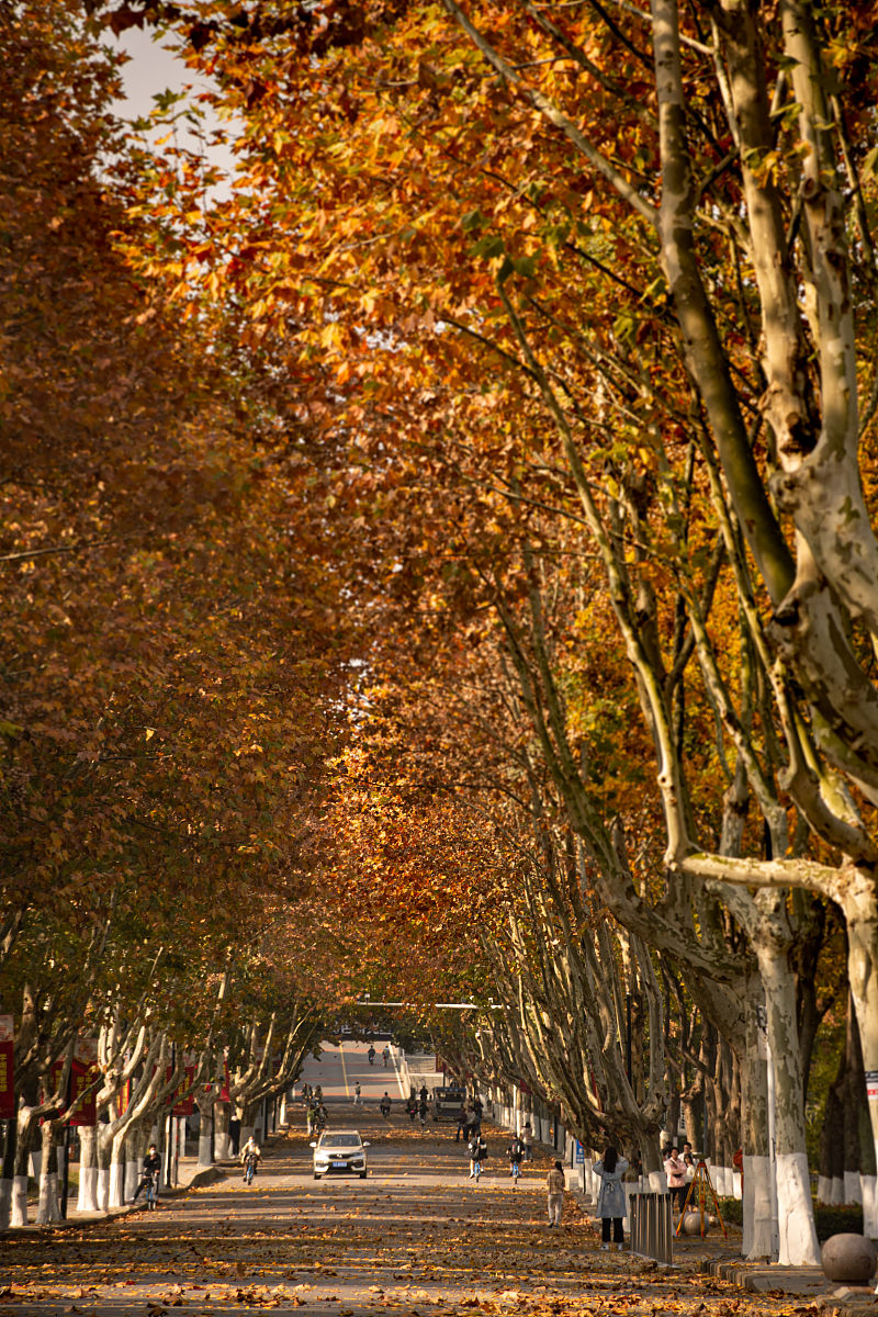 沈阳市信息工程学校机械加工技术专业怎么样？2022年招生解读