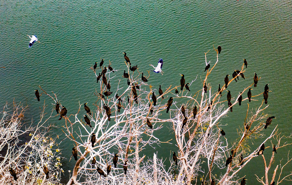 淮北市烈山区中等专业学校2022年招生简章 - 报名指南