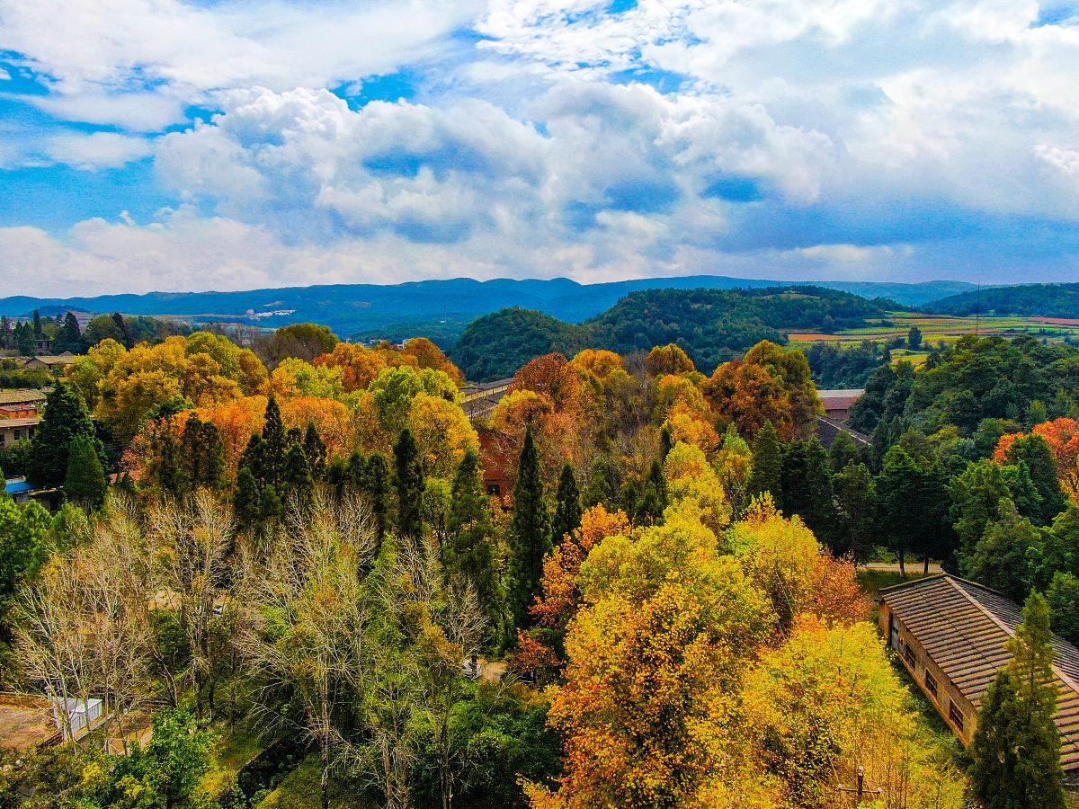 云南曲靖农业学校五年一贯制普通高职专科特色专业 - 培养农业技术人才，助力乡村振兴