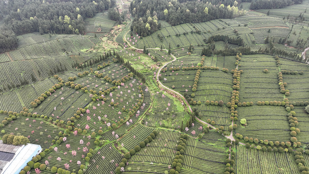 遵义卫生学校药学专业2022年招生