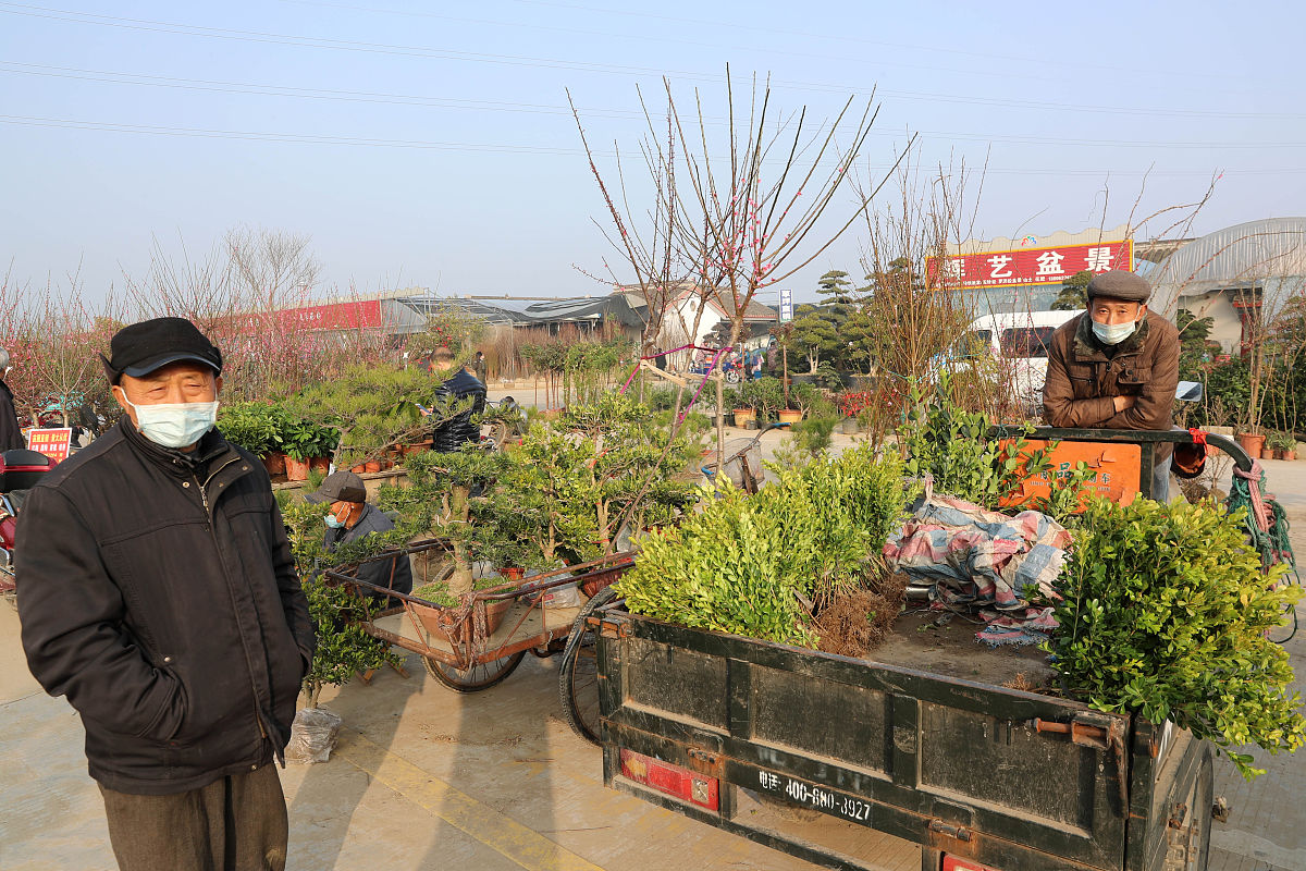 2020年3月12日,当日是一年一度的植树节,在江苏如皋花木大世界新开辟