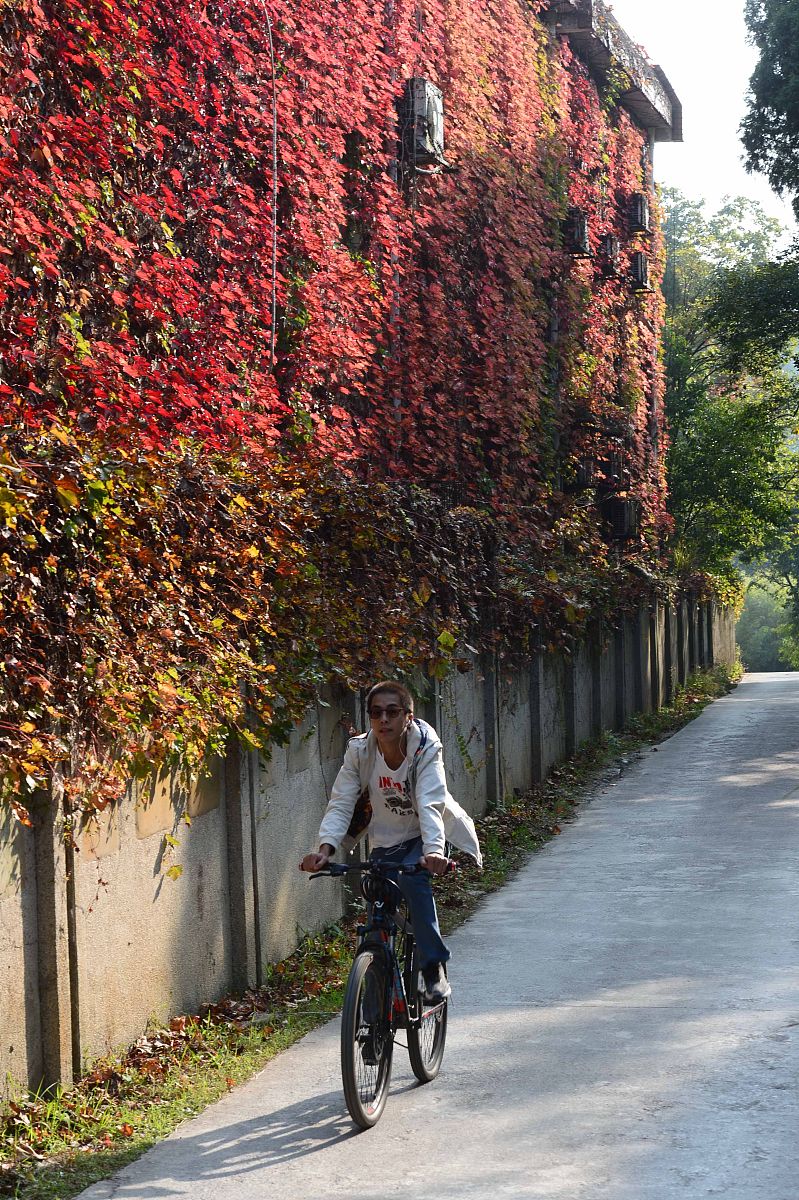 贵州省旅游学校专业建设：培养旅游行业中坚力量