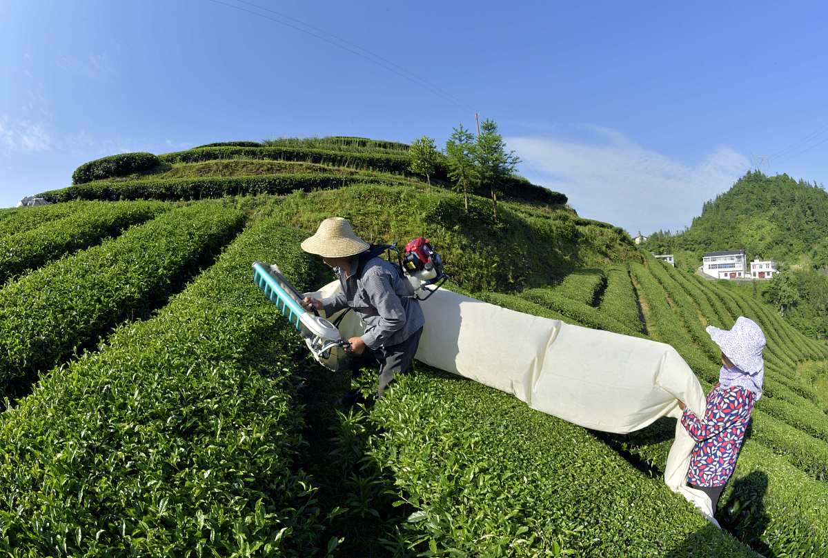 重庆市农机学校农村电气技术专业招生简章 - 培养现代农业电气人才