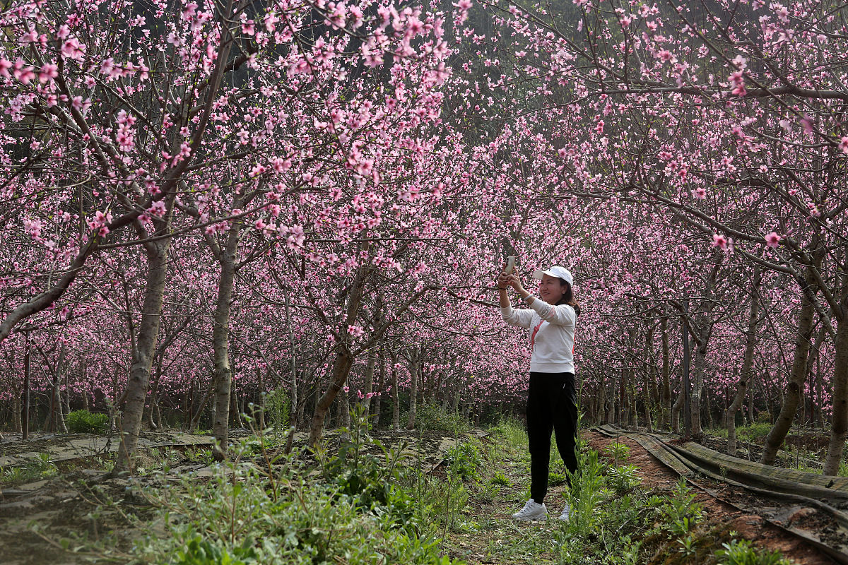 内江思源职业学校2022年招生简章