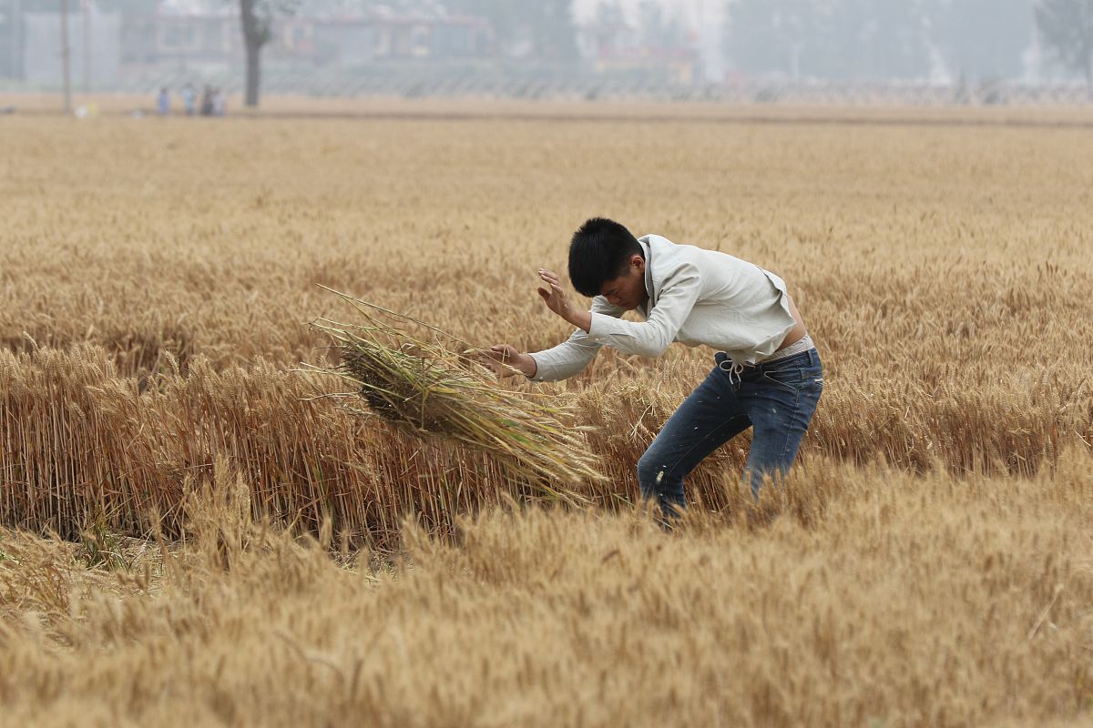 罗平县农业机械技术学校2022年招生简章 - 报考指南