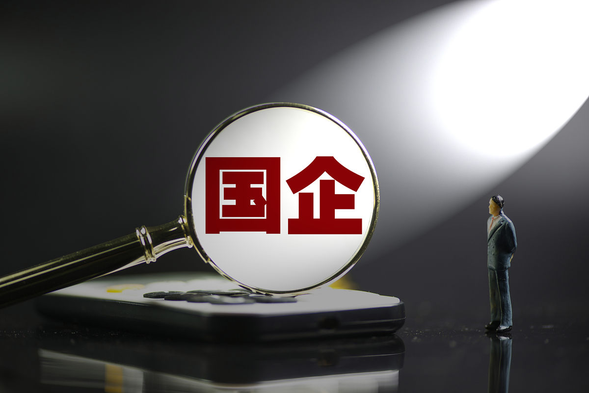 请谈谈你对国企的理解？与私企有什么不同？