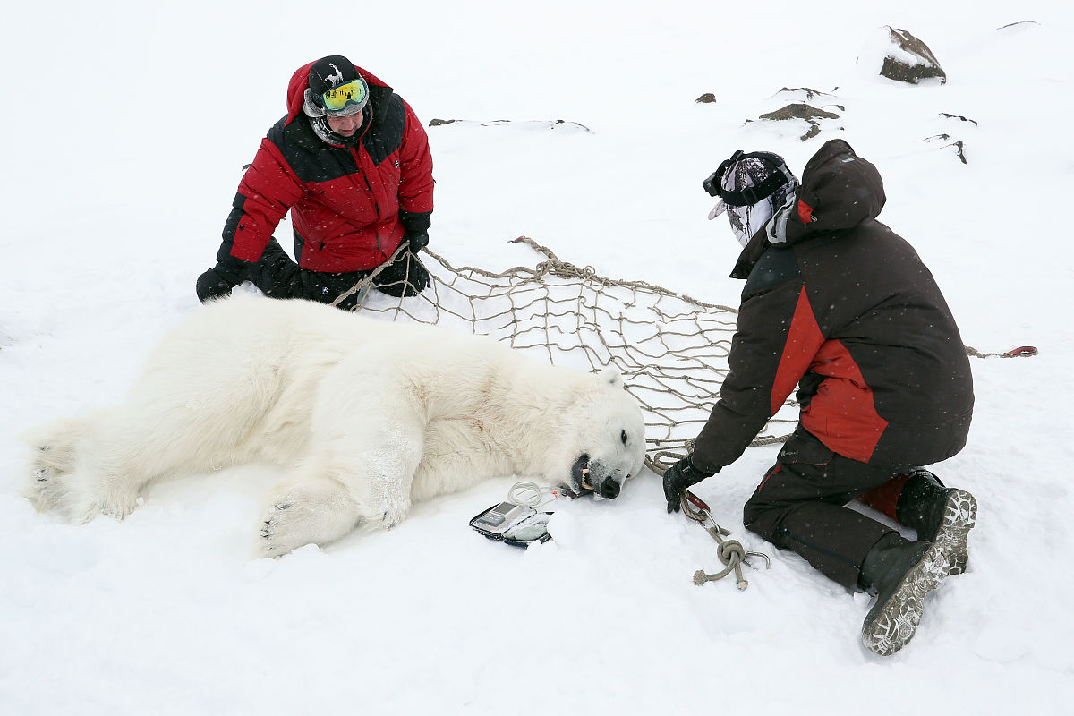 地理科学师范专业：全面提升地理教师素养