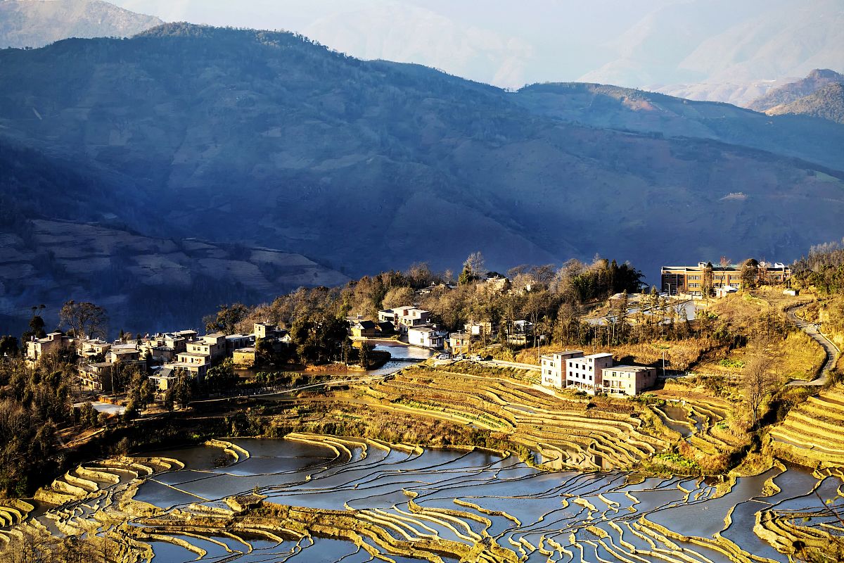 2020年1月23日,云南元阳,夕阳下的哈尼梯田.(如若下载使用,请务必署名