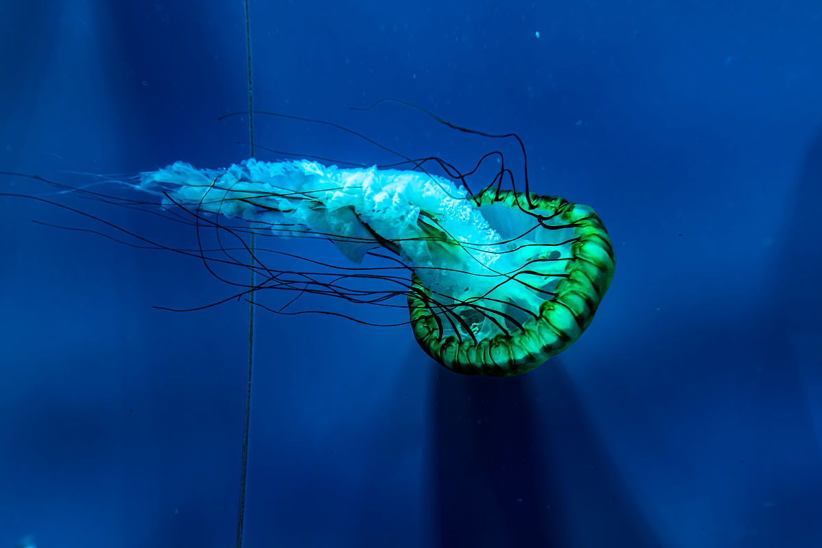 甘肃农垦中等专业学校2022年招生条件是什么