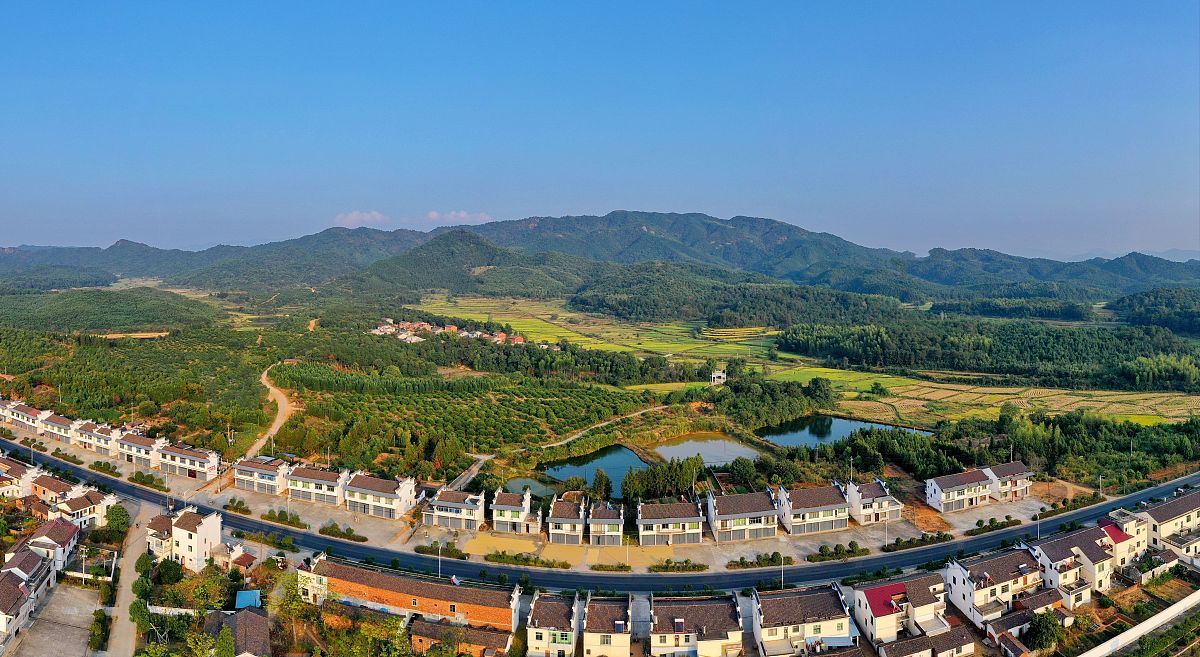 宣城校区英语系暑期“三下乡”社会实践团队：红旅产业助力乡村振兴