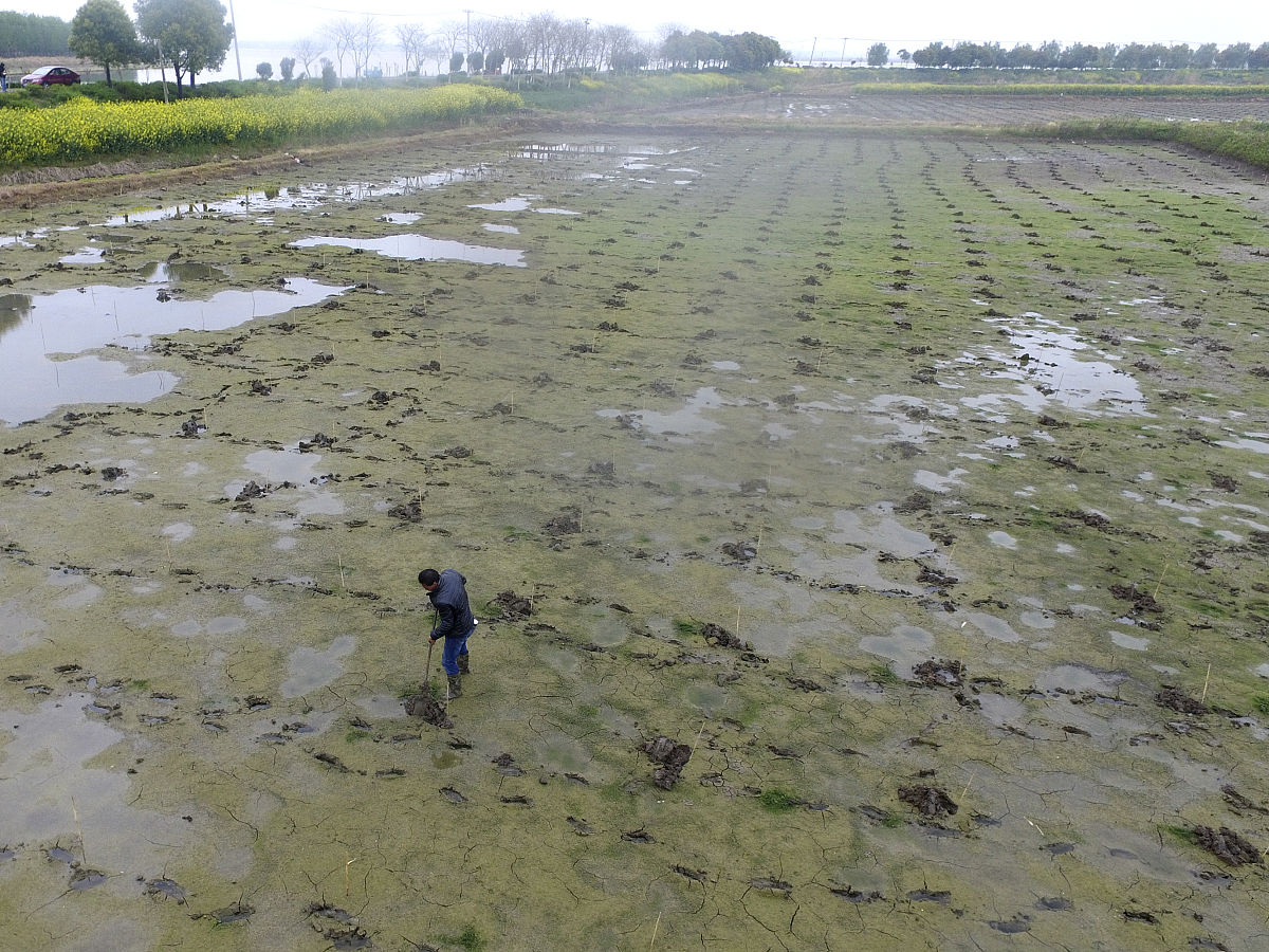 地下水中三氯酚和磺胺甲恶唑复合污染：来源、影响及治理