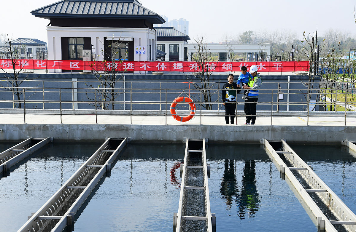 工程师评审：项目质量保障的关键环节