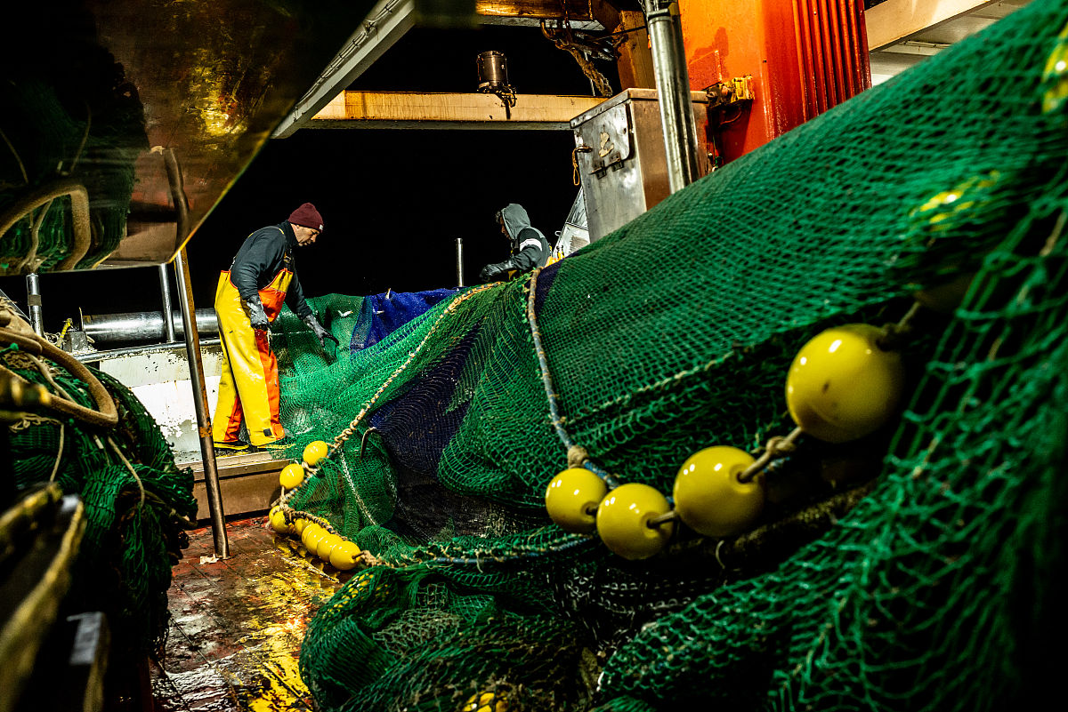 环境艺术设计专业证书及就业前景：薪资、可持续设计方向