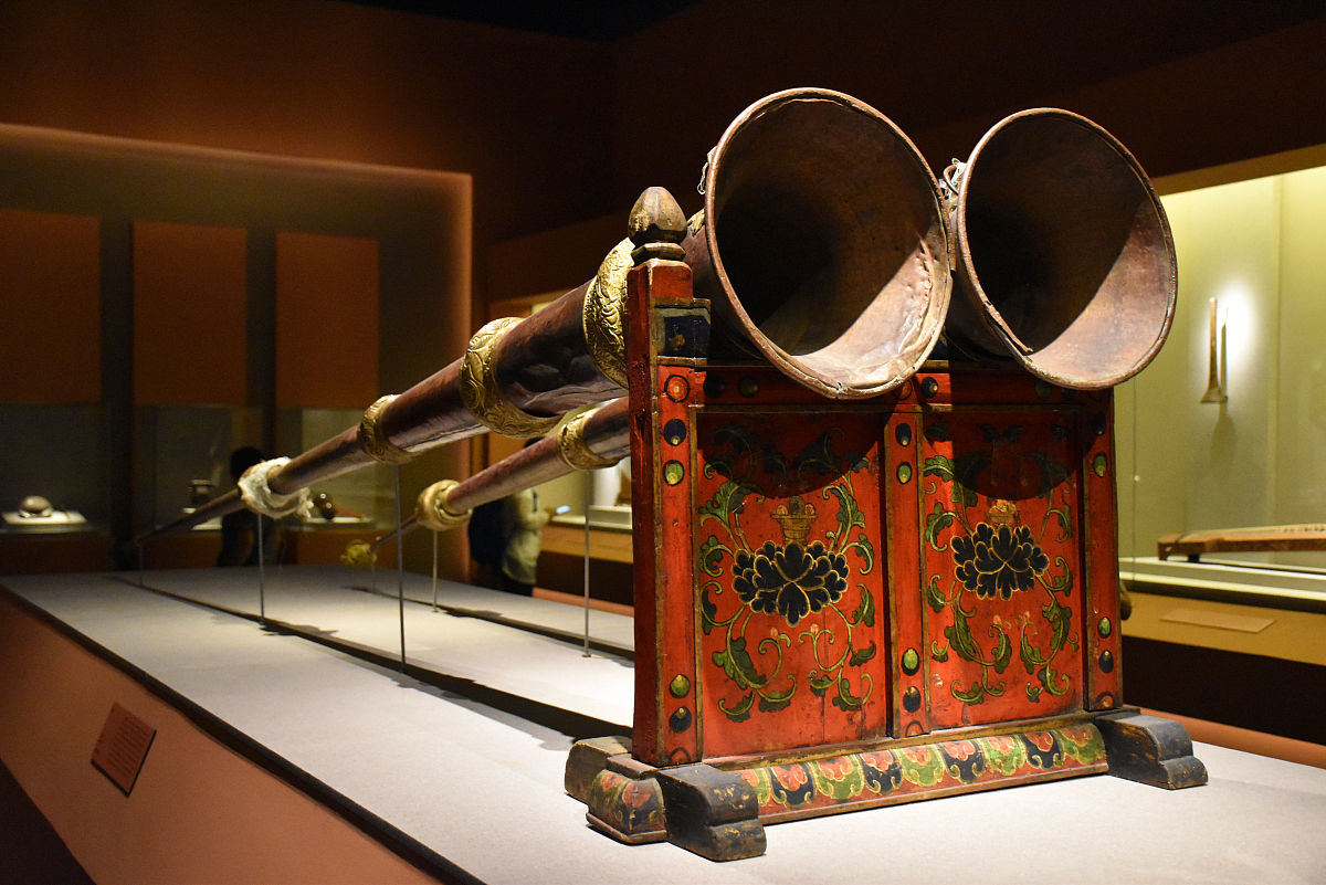 自然博物馆病句修改：提升观展体验的必要步骤