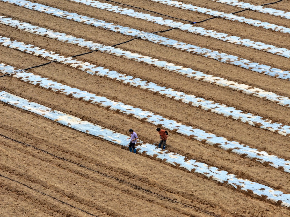 种养循环圈牧结合复合养殖等为何在安徽乃至全国没有全面推广
